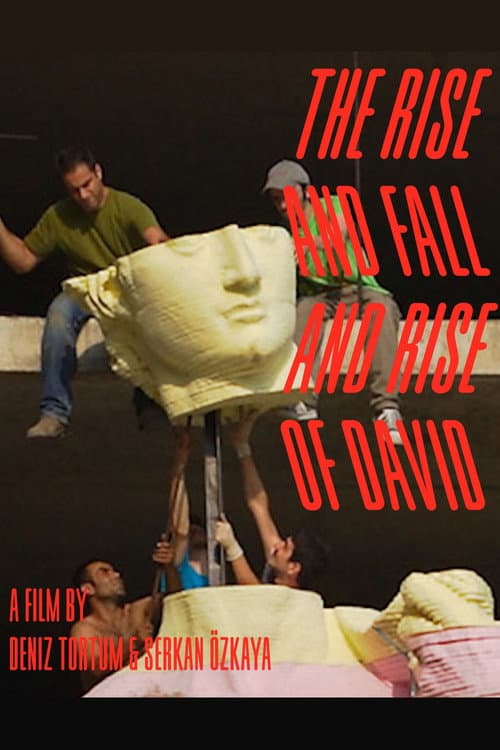 The Rise and Fall and Rise of David afişi