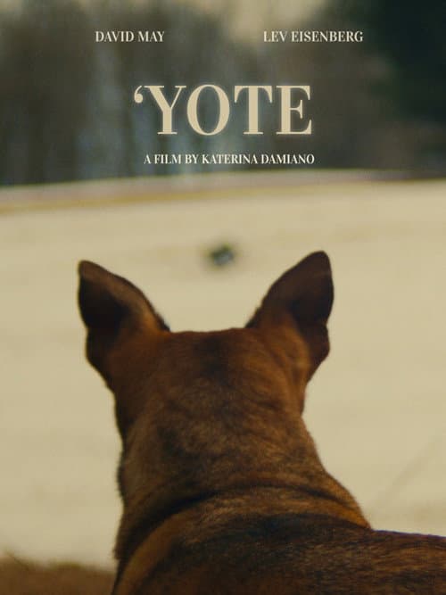 'Yote afişi