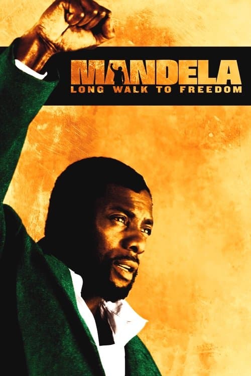 Mandela: Özgürlüğe Giden Uzun Yol afişi