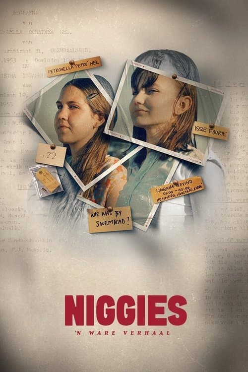 Niggies afişi