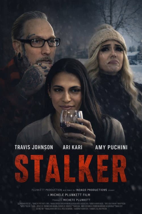 STALKER afişi