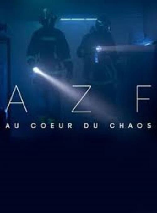 AZF : au cœur du chaos afişi