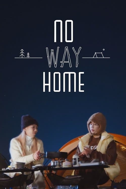 NO WAY HOME afişi