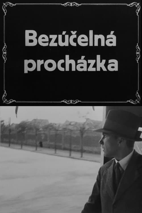 Bezúčelná procházka afişi