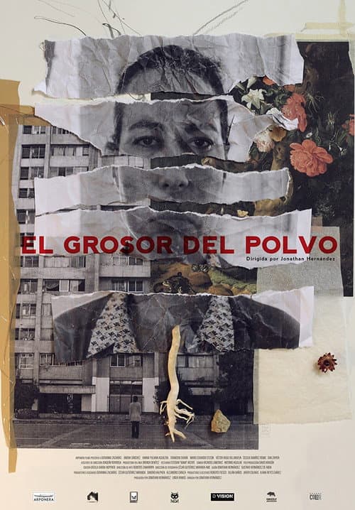 El Grosor del Polvo afişi
