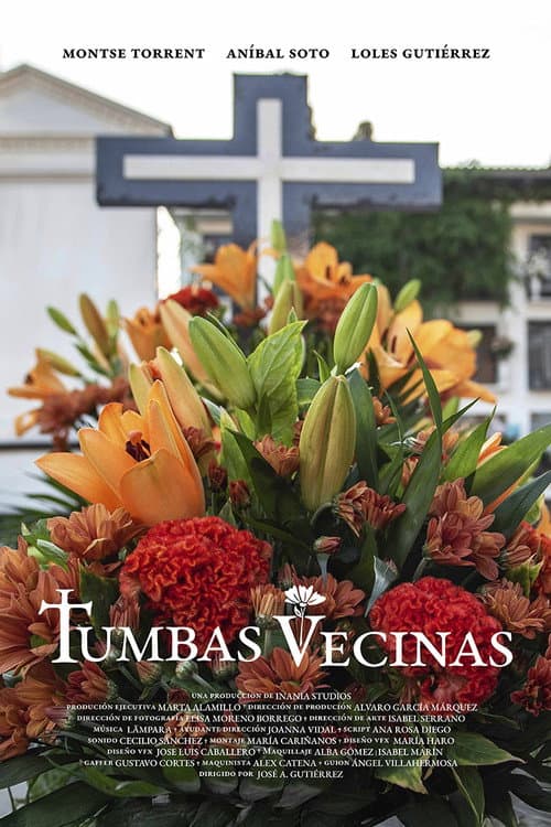Tumbas vecinas afişi