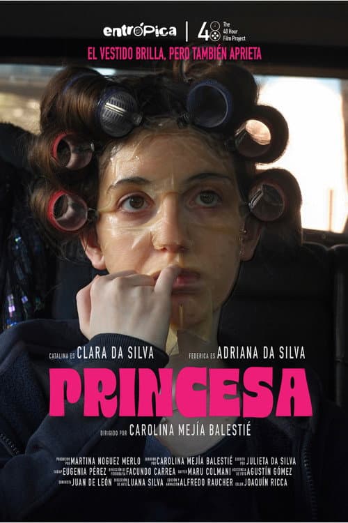 Princesa afişi
