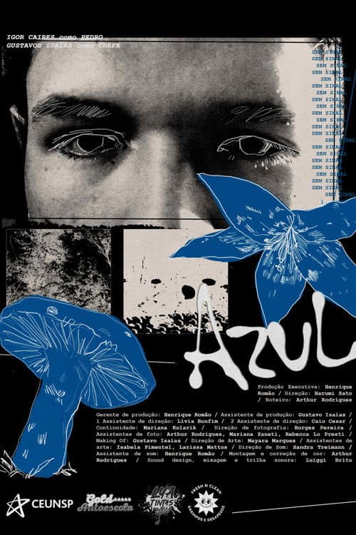Azul afişi