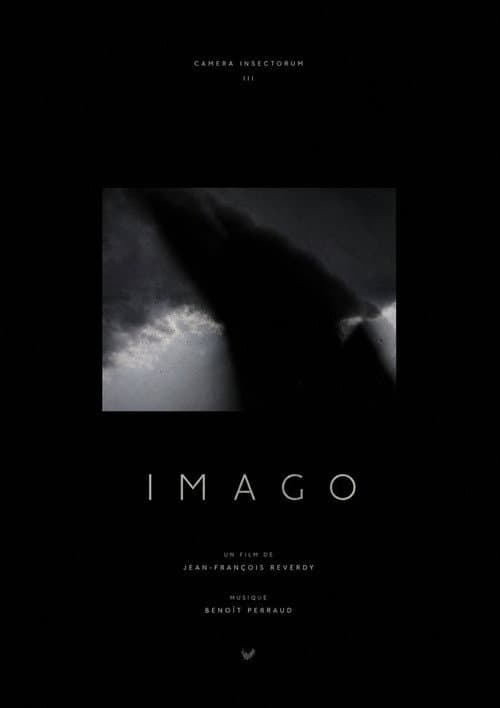 IMAGO afişi