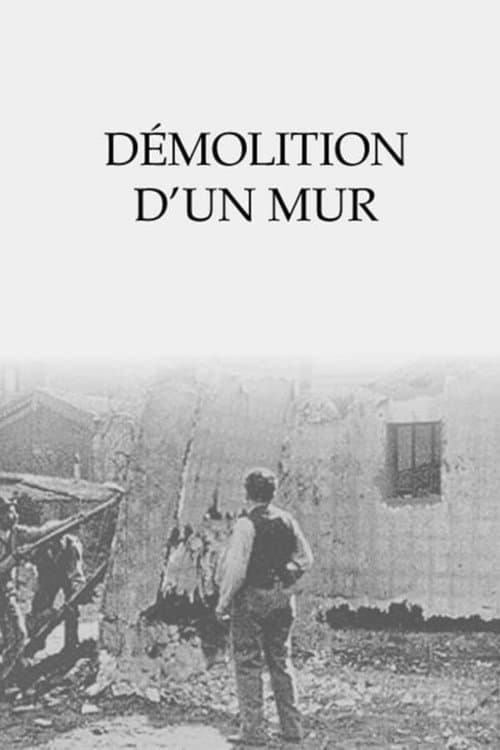 Démolition d'un mur afişi