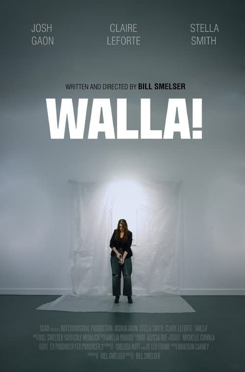 WALLA! afişi