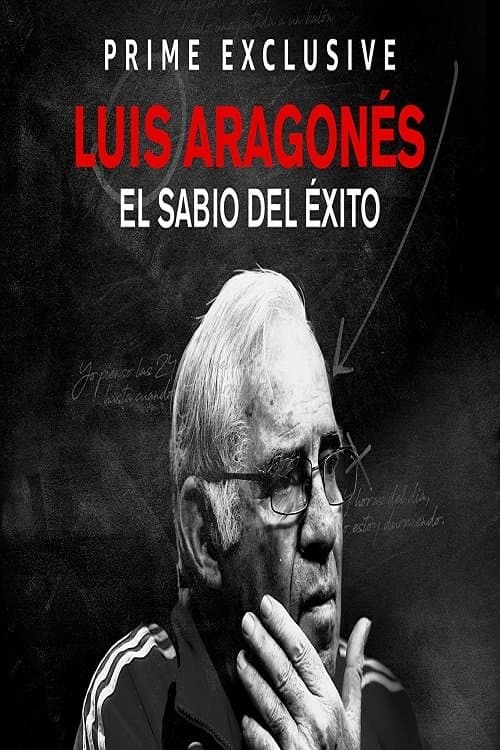 Luis Aragonés, el sabio del éxito afişi