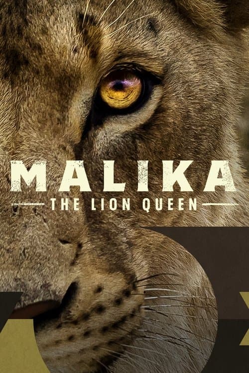Aslan Kraliçesi Malika afişi