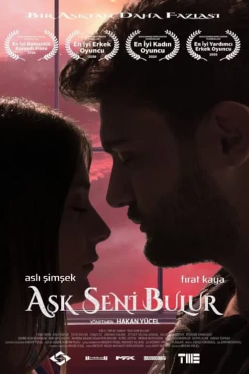 Aşk Seni Bulur afişi