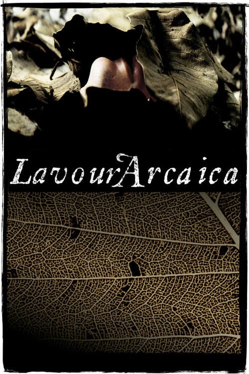 Lavoura Arcaica afişi