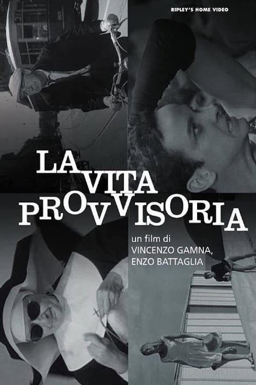 La vita provvisoria afişi