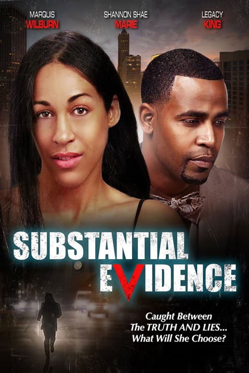 Substantial Evidence afişi