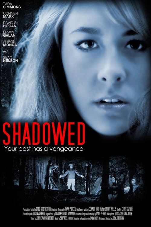 Shadowed afişi