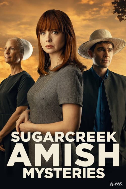 Sugarcreek Amish Mysteries: Blessings in Disguise afişi
