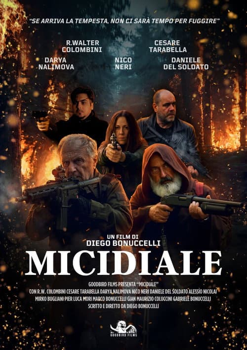 Micidiale afişi