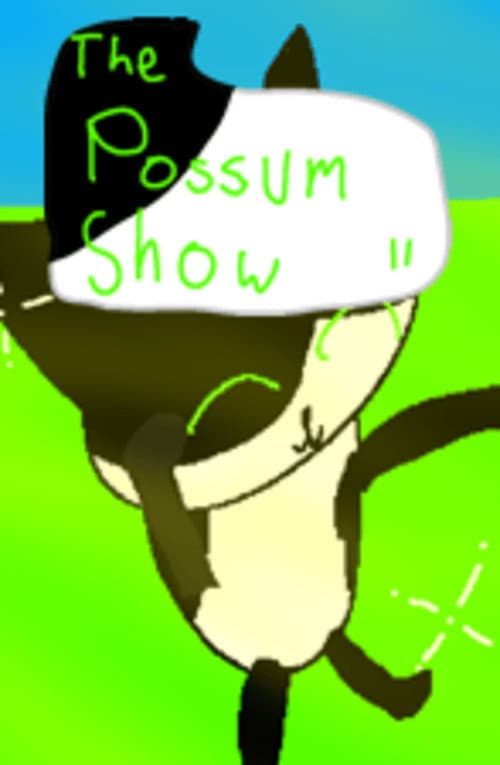 The Possum Show afişi