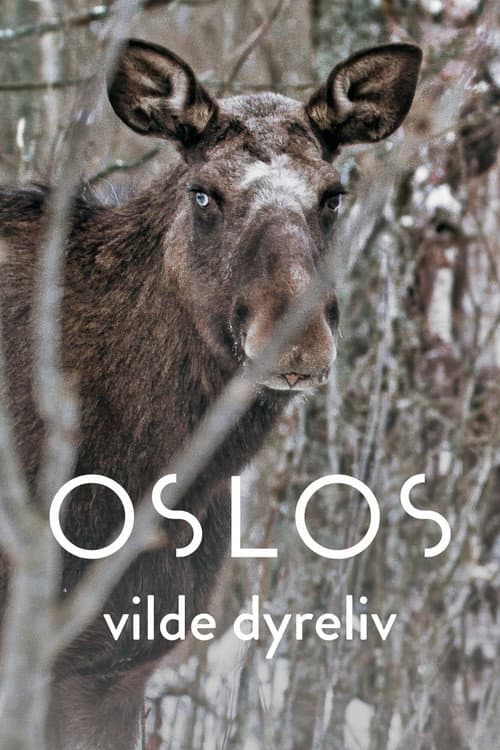 Oslo – The Wild Heart of Norway afişi