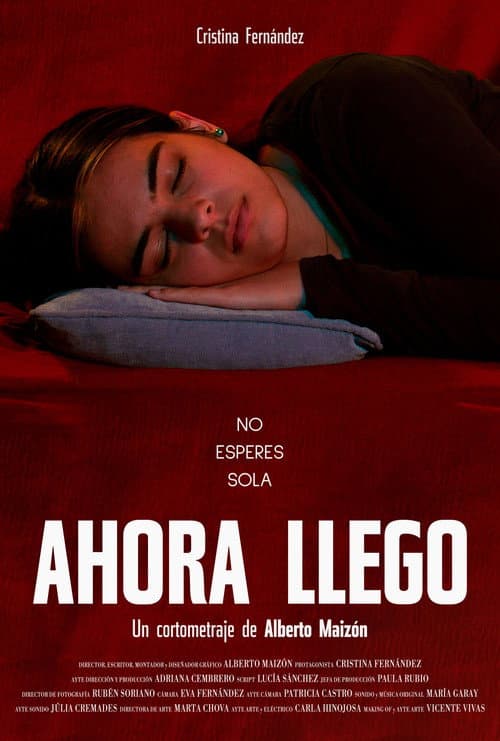 Ahora llego afişi