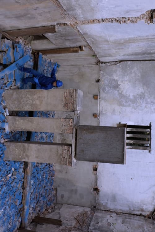Blue Territory afişi