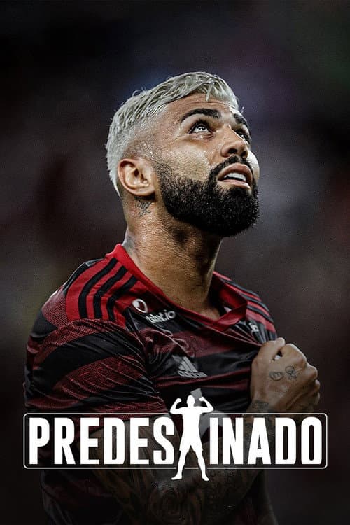 Predestinado afişi