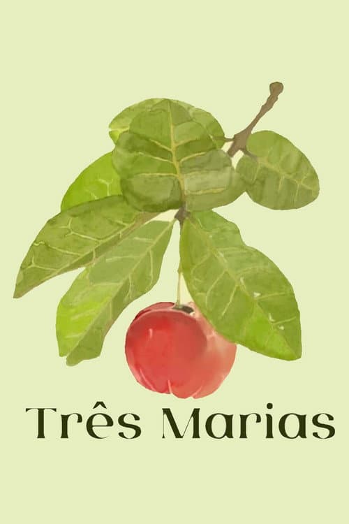 Três Marias afişi