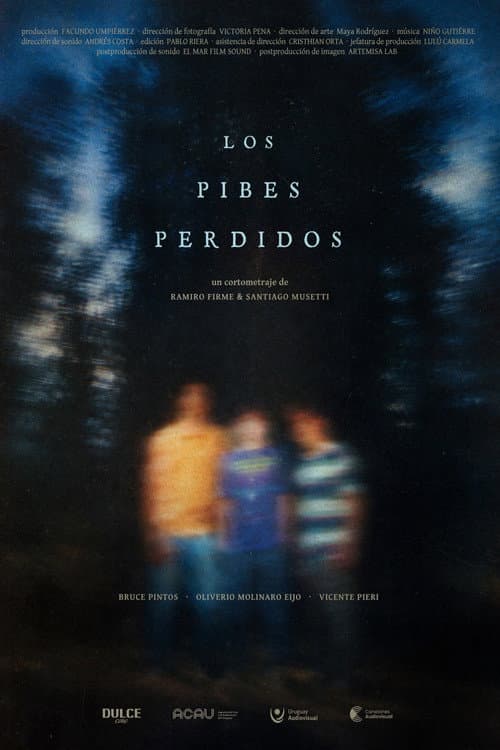 Los Pibes Perdidos afişi