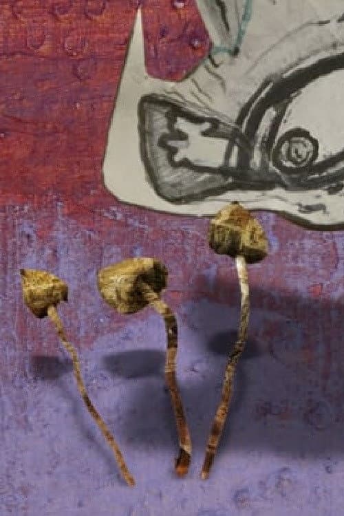 Space Snails afişi