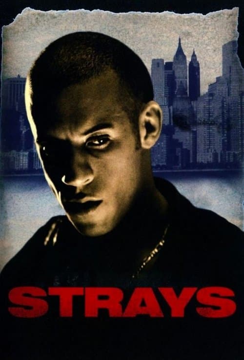 Strays afişi