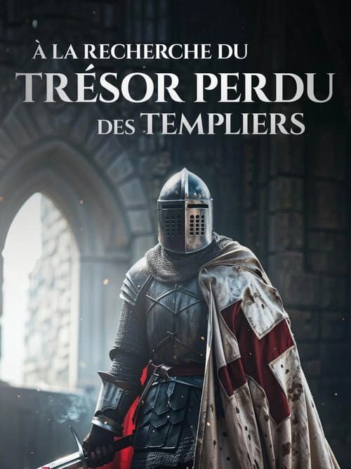 A la recherche du trésor perdu des templiers afişi