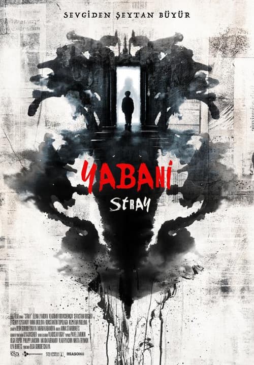 Yabani - Stray afişi