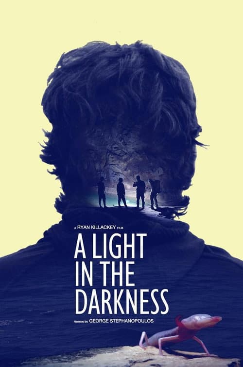 A Light in the Darkness afişi