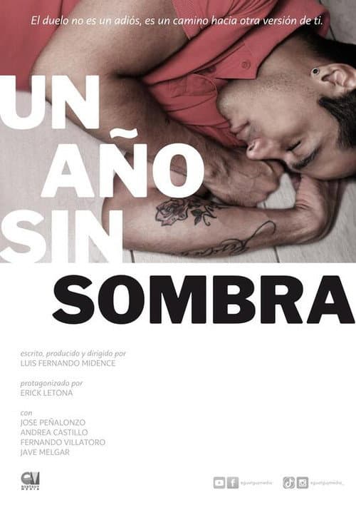 Un año sin sombra afişi