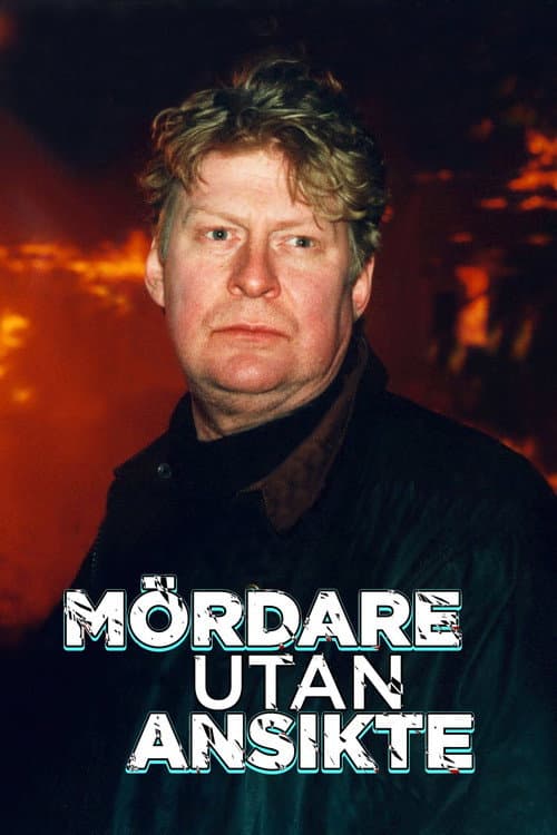 Wallander afişi