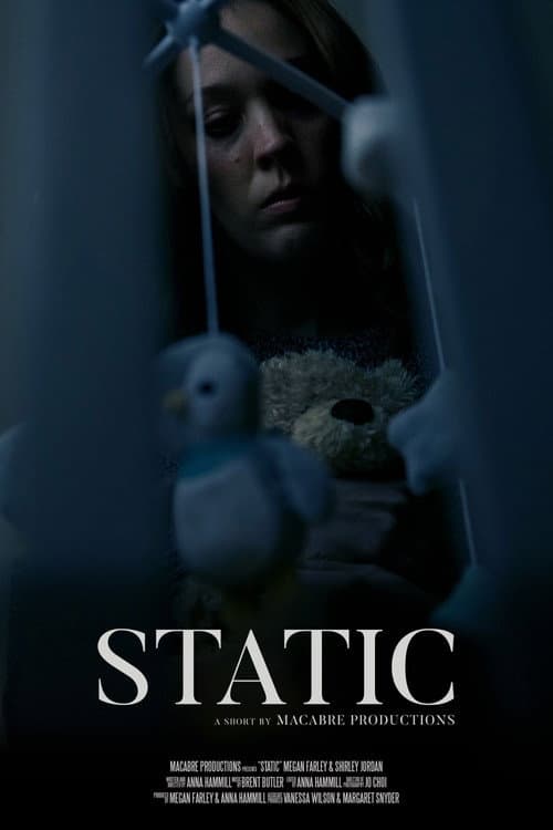 Static afişi