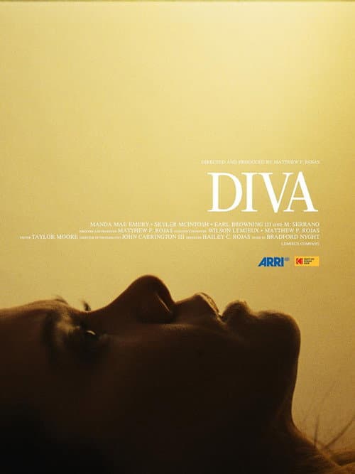 Diva afişi