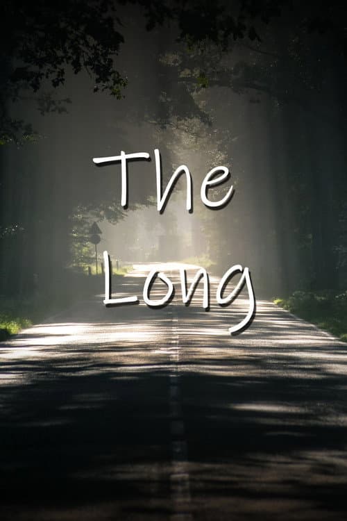 the long afişi