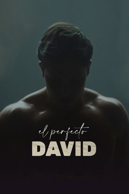 El perfecto David afişi