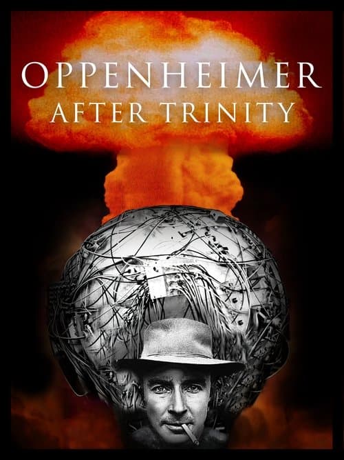 Oppenheimer After Trinity afişi