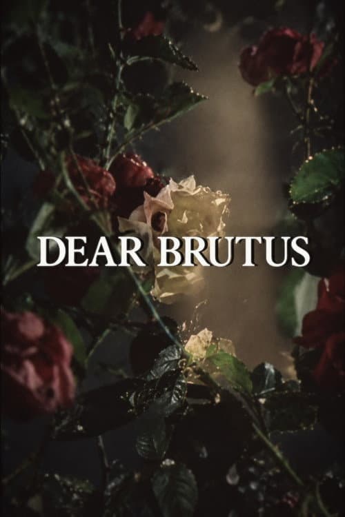 Dear Brutus afişi