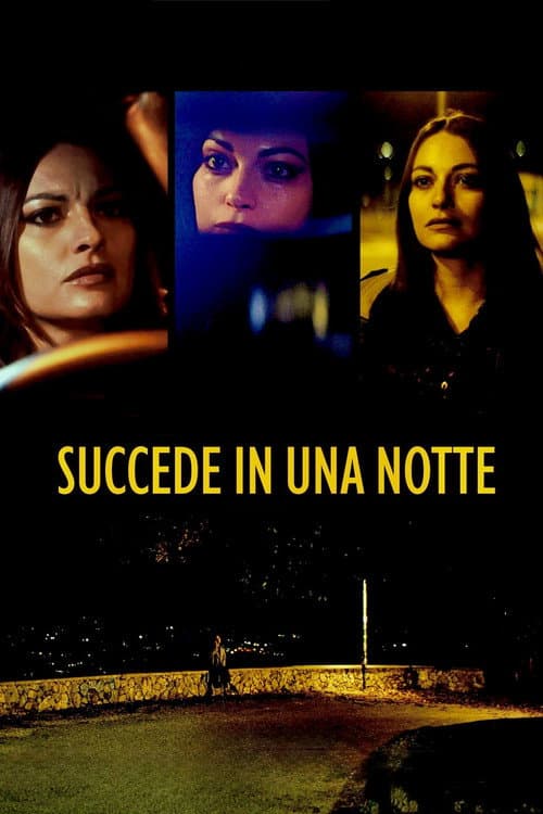 Succede in una notte afişi