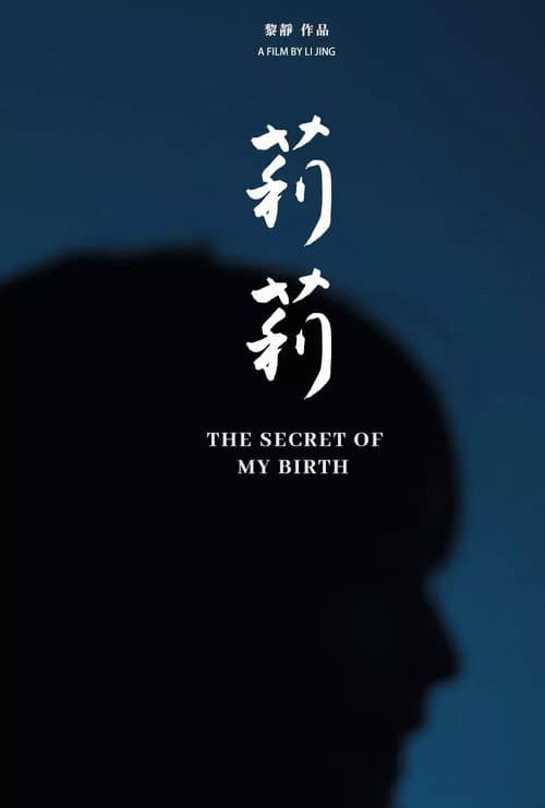 The Secret of My Birth afişi