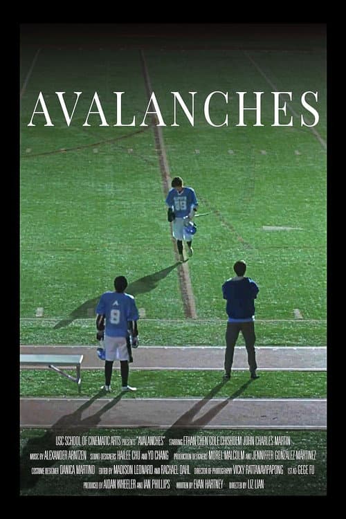 Avalanches afişi