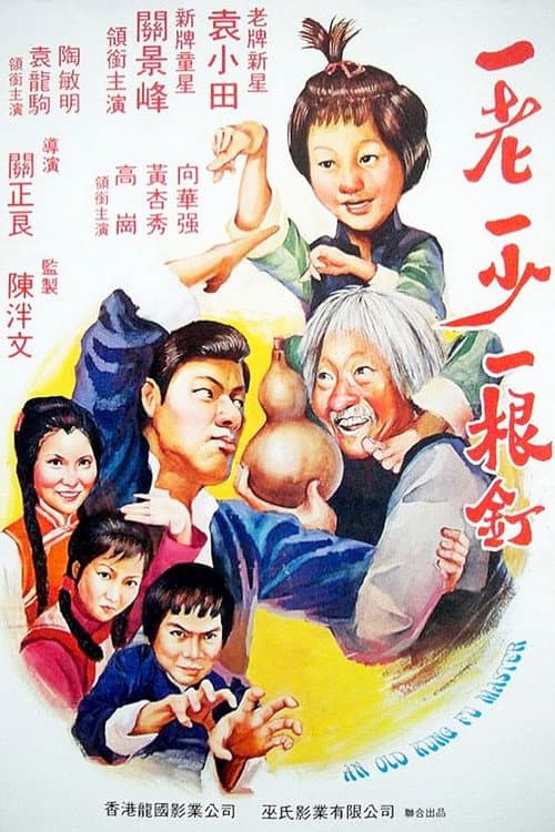 An Old Kung Fu Master afişi