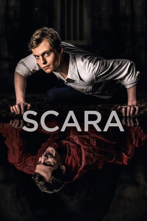 Scara afişi