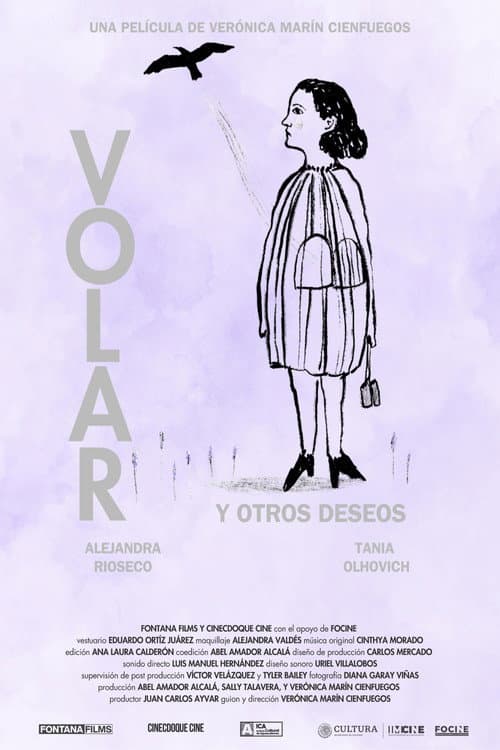 Volar y otros deseos. afişi